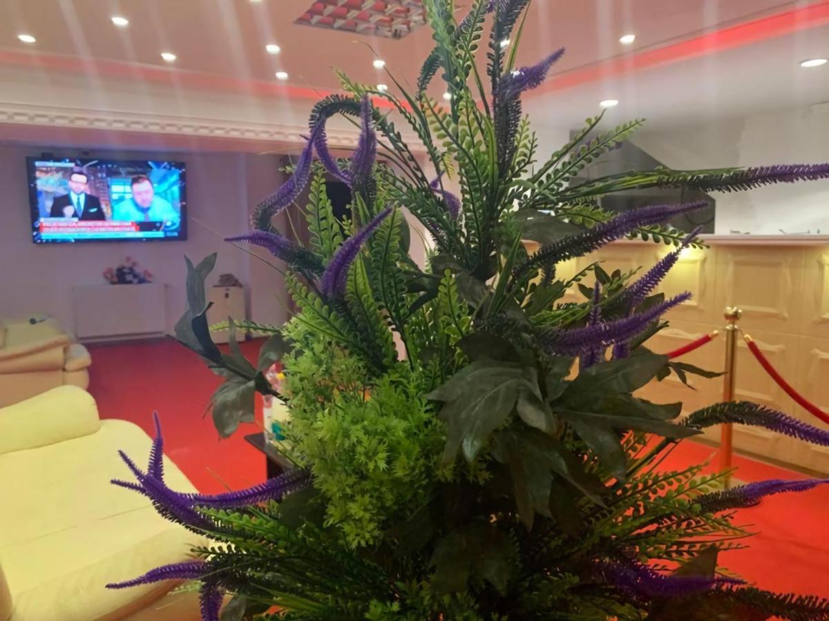 Karra Hotels Voluntari Εξωτερικό φωτογραφία